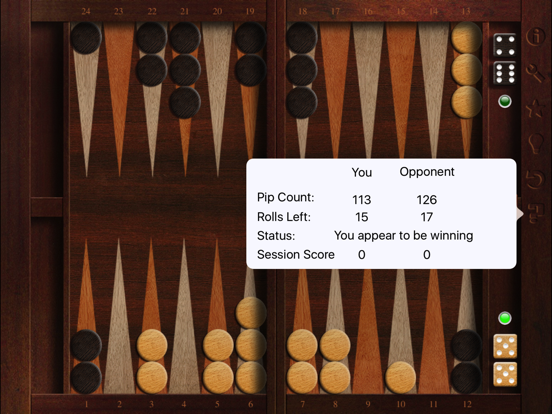 Absolute Backgammon iPad app afbeelding 3