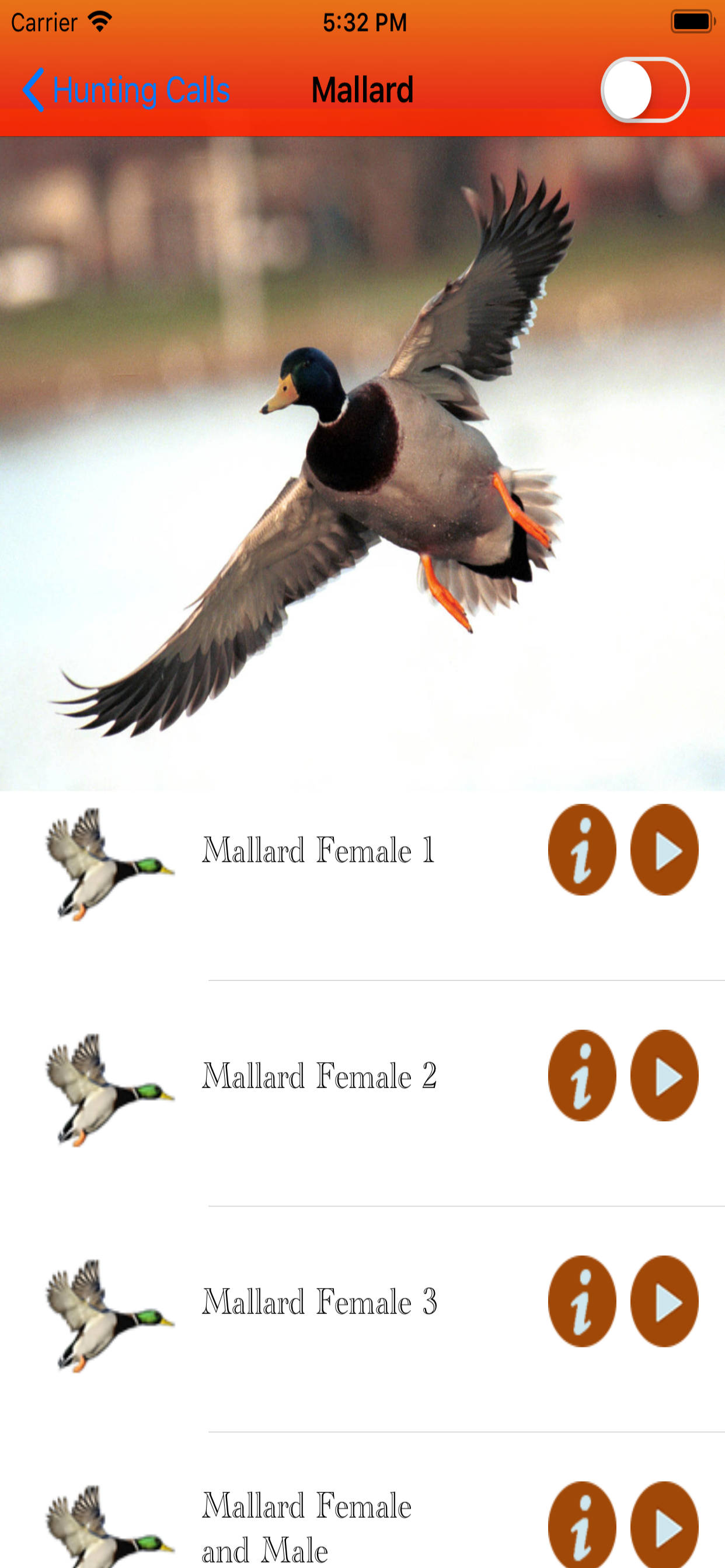 Duck Hunting Calls -