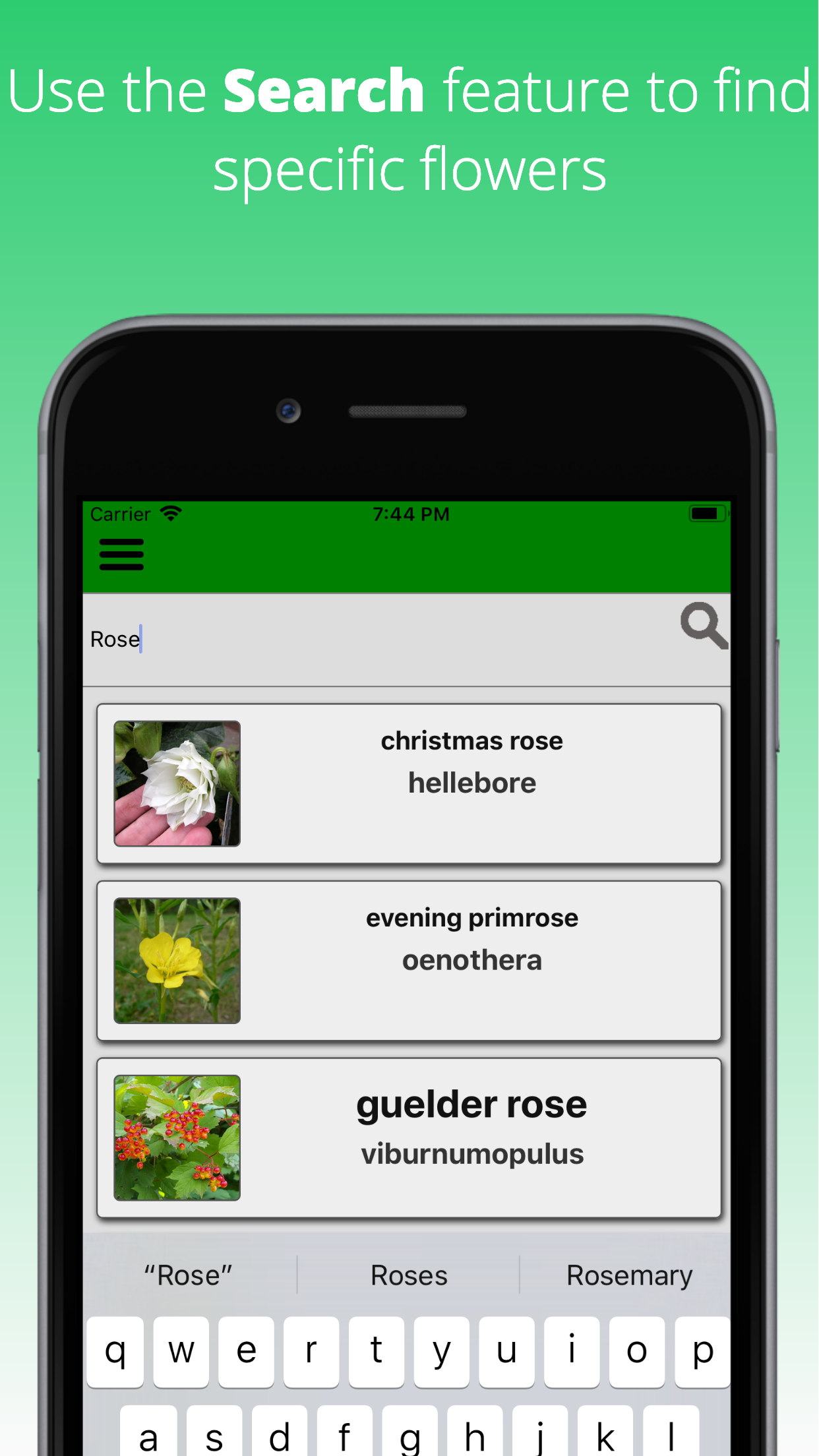 Flowers Dictionary