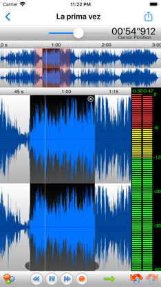 TwistedWave Voice Recorder screenshot 1
