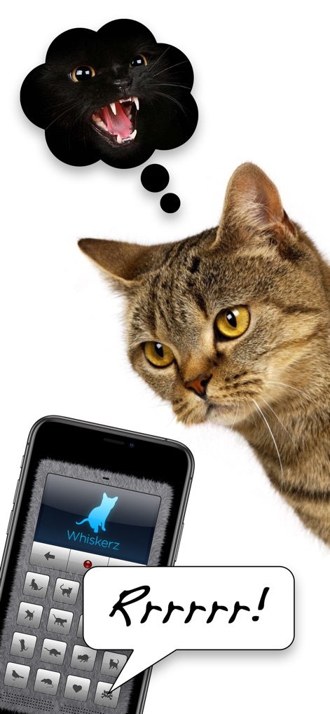 Human-to-Cat Translator Deluxe - Entertainment App | MWM