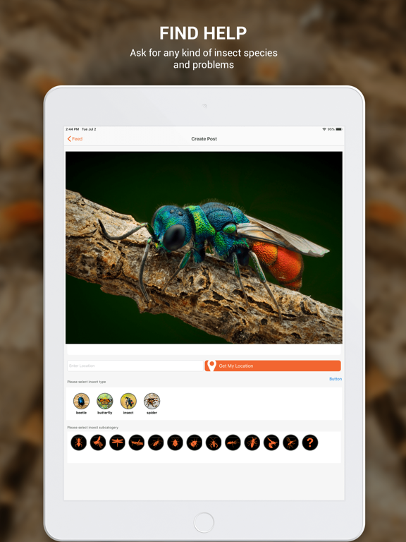 Insect identifier by photo iPad screenshot