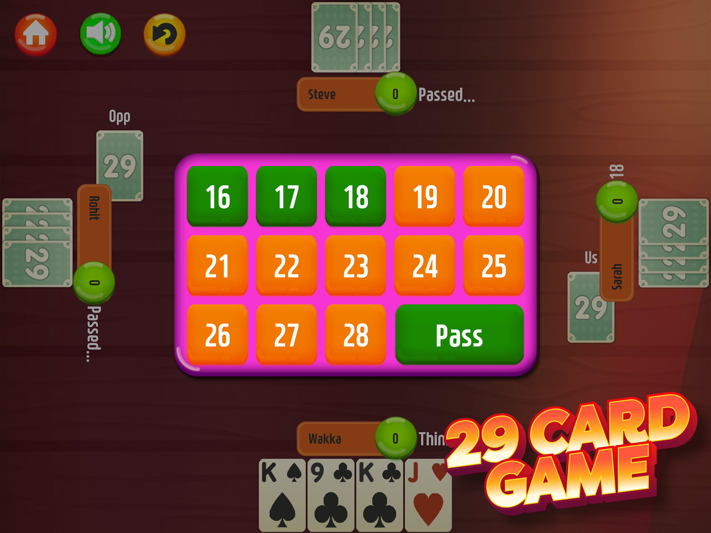 29 Card Game * PLUS