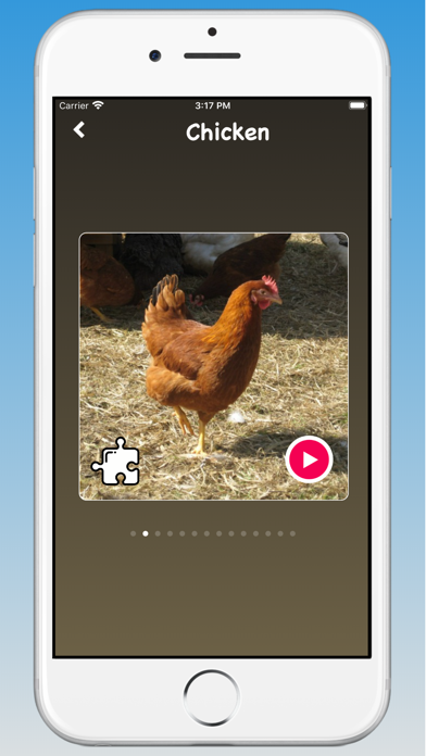 Animal Sounds, Animal Language Screenshot