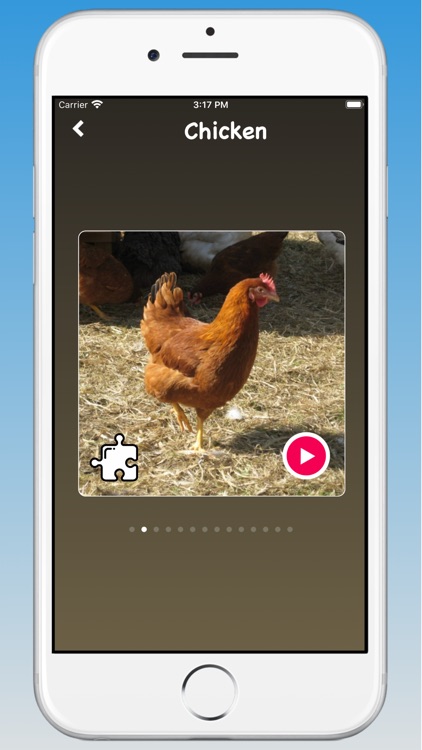 Animal Sounds, Animal Language screenshot-5