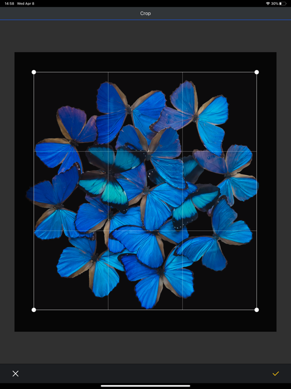 Epson Print Layout iPad screenshot 5 - Photo & Video app