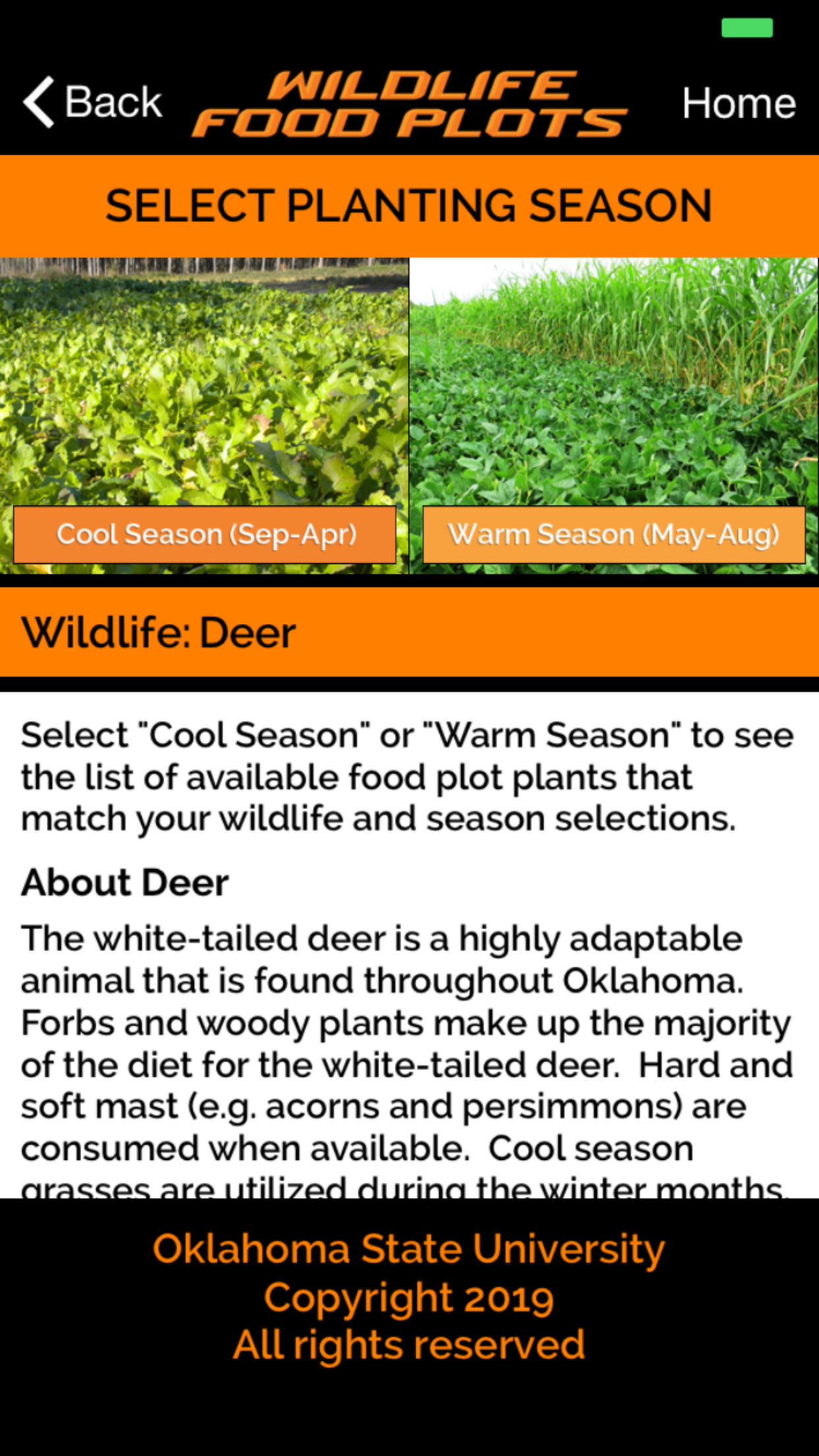 Wildlife Food Plots