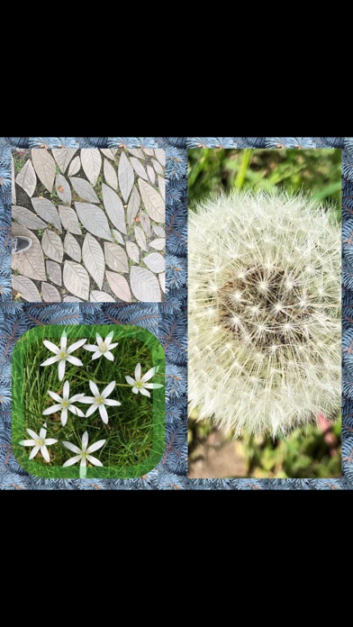 Mosaic - Video & Photo Collage Screenshot