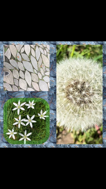 Mosaic - Video & Photo Collage screenshot-8