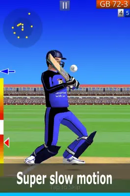 Game screenshot Smashing Cricket: cricket game mod apk