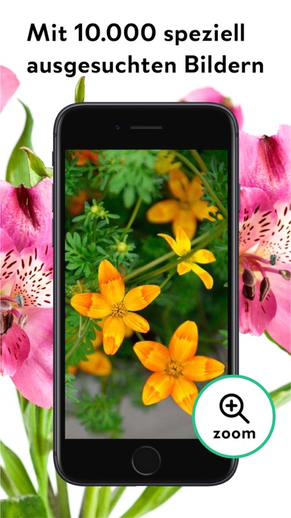 FlowerCam Gartenblumen kaufen screenshot-6