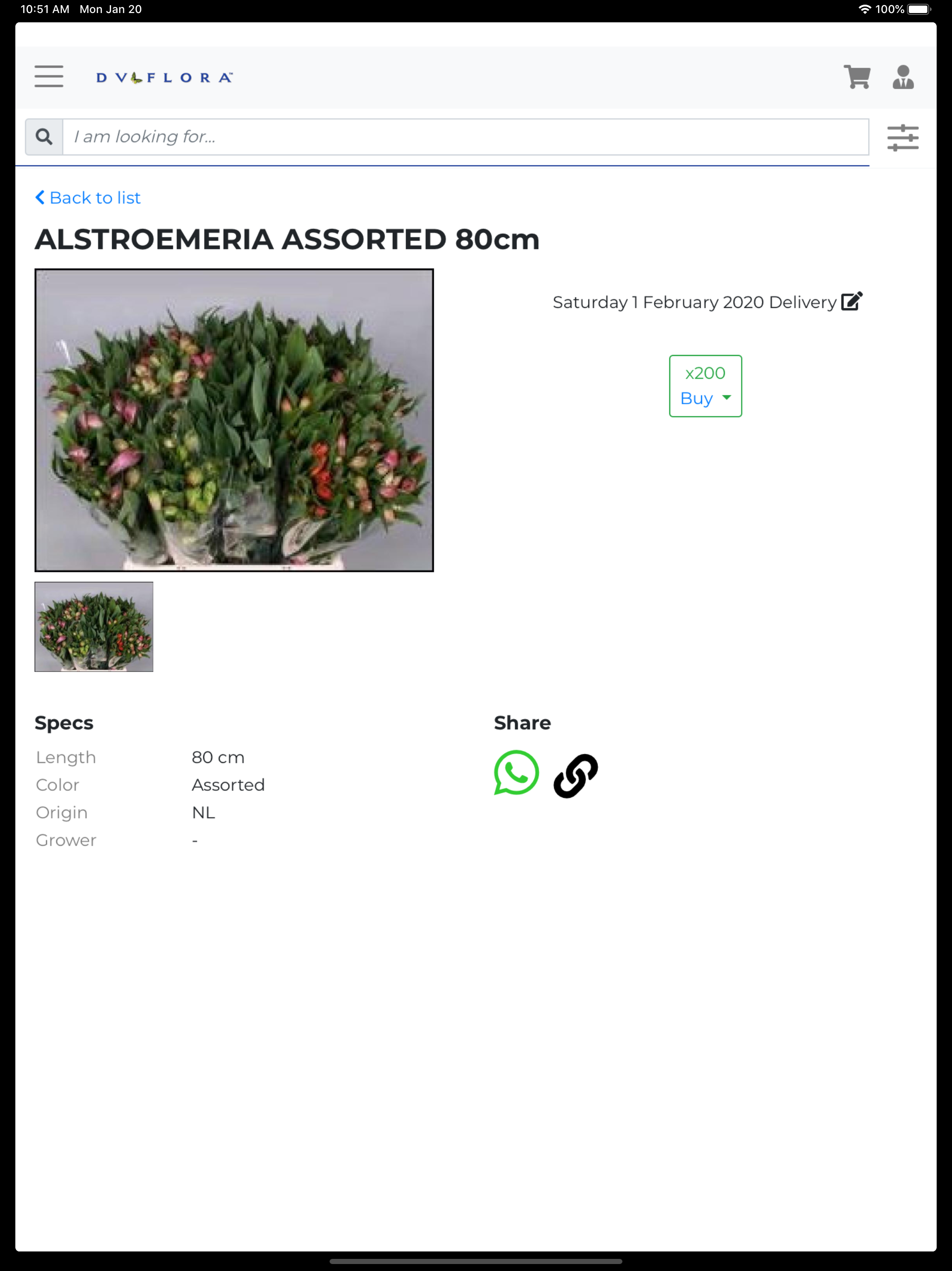 DV Flora Dutch Direct Shop