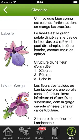 Capture d'écran de Fleurs En Poche sur iPhone 7