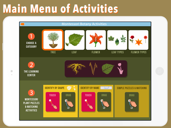 Learn Botany - Parts of Plants iPad screenshot