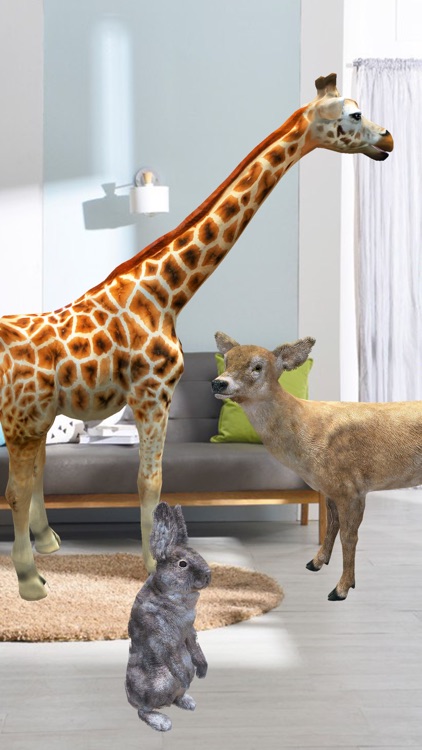 AR Zoo-Animal World screenshot-3