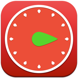 Pro Timer - Time Manager