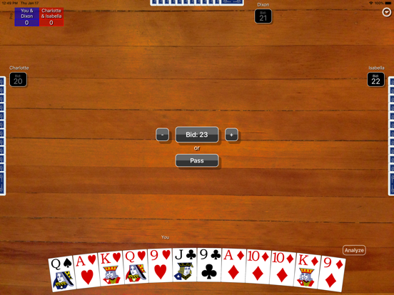 Pinochle Classic iPad screenshot 4 - Games app