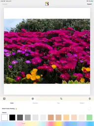SquareDude - Square Fit Photo ipad bilder 3