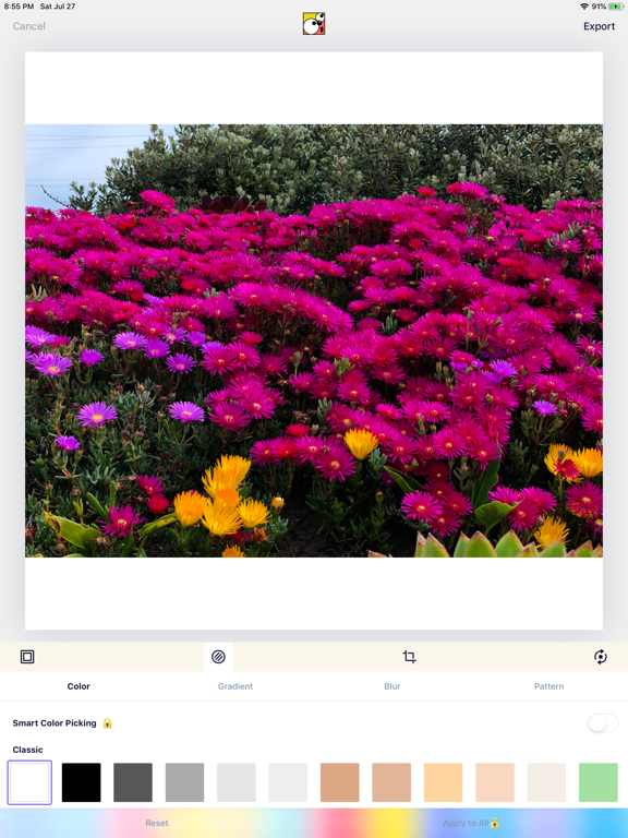 SquareDude - Square Fit Photo iPad screenshot 4 - Photo & Video app