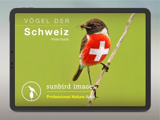 Screenshot #4 pour Vögel der Schweiz - Fotoguide
