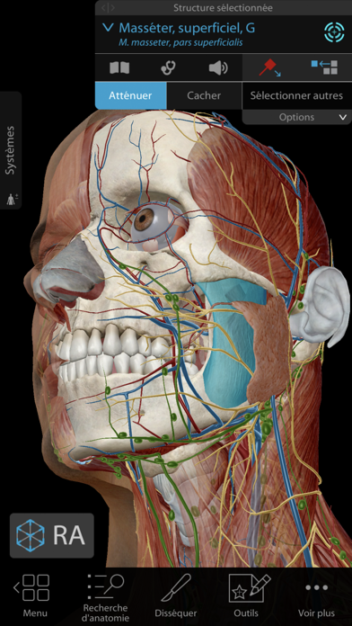 Screenshot Atlas d'anatomie humaine 2020