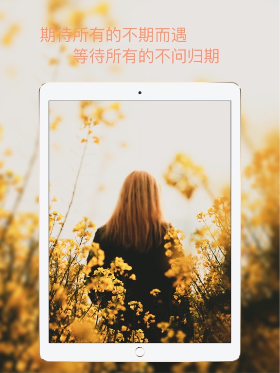 介绍图工厂-应用上架截图美化助手 iPad screenshot 1 - Developer Tools app
