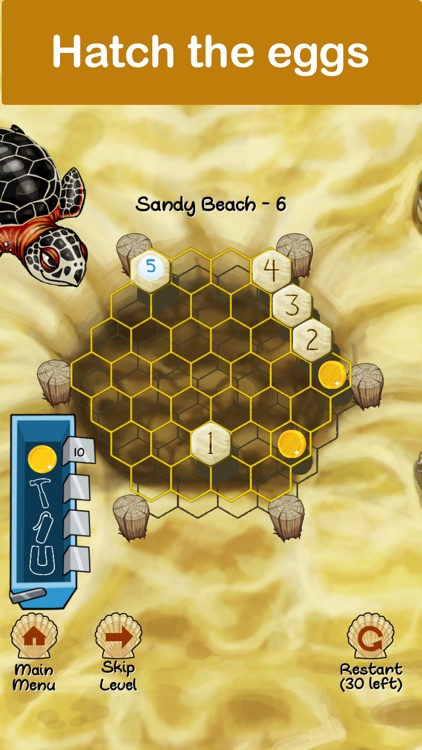 Sea Turtle Rescue Puzzle Game