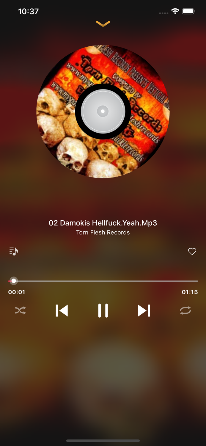 Offline Music Music Download