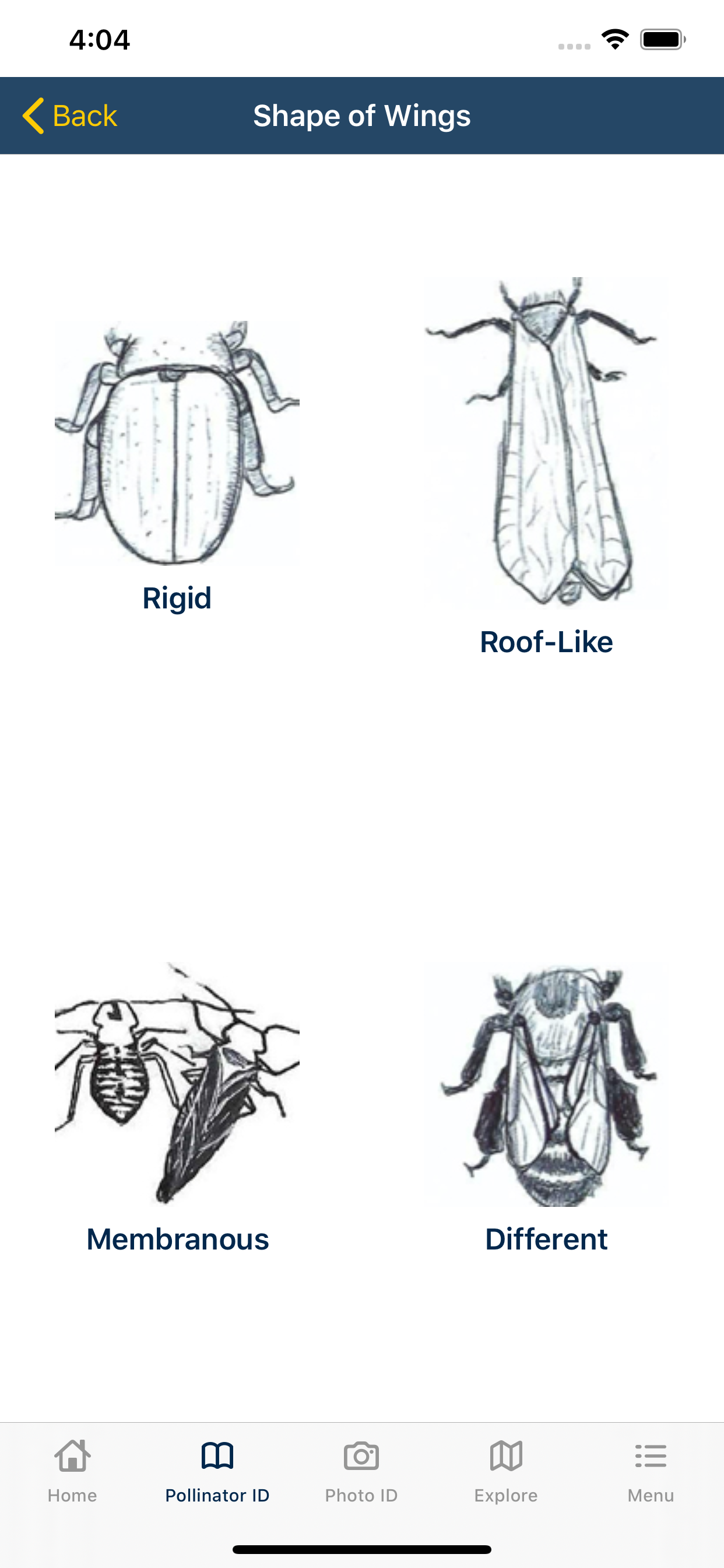 PolliNation ID