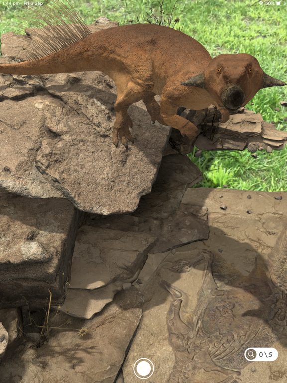 Famous Fossil iPad screenshot 8 - Entertainment app