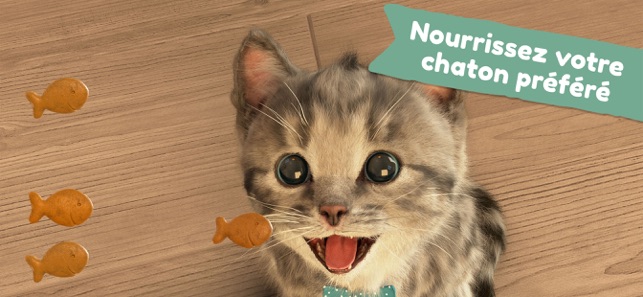 Petit Chaton Mon Chat Prefere Dans L App Store