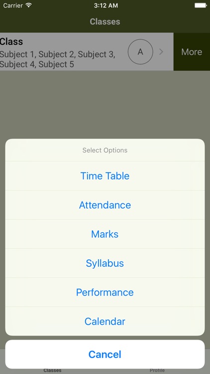 Master Minds E M High School