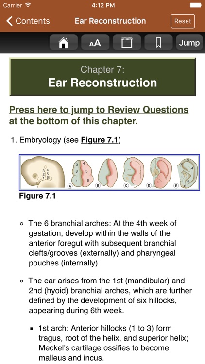 Review of Plastic Surgery