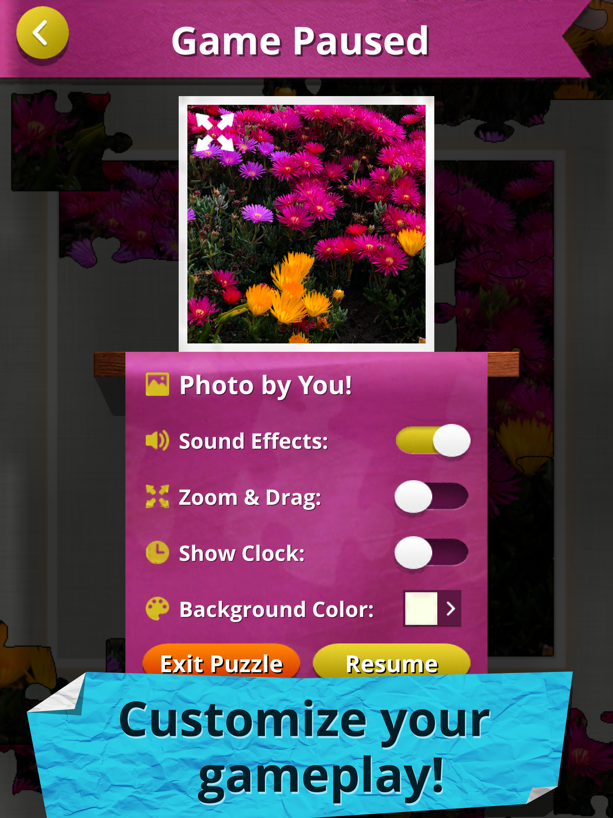 Jigsaw Puzzles Real Jigsaws