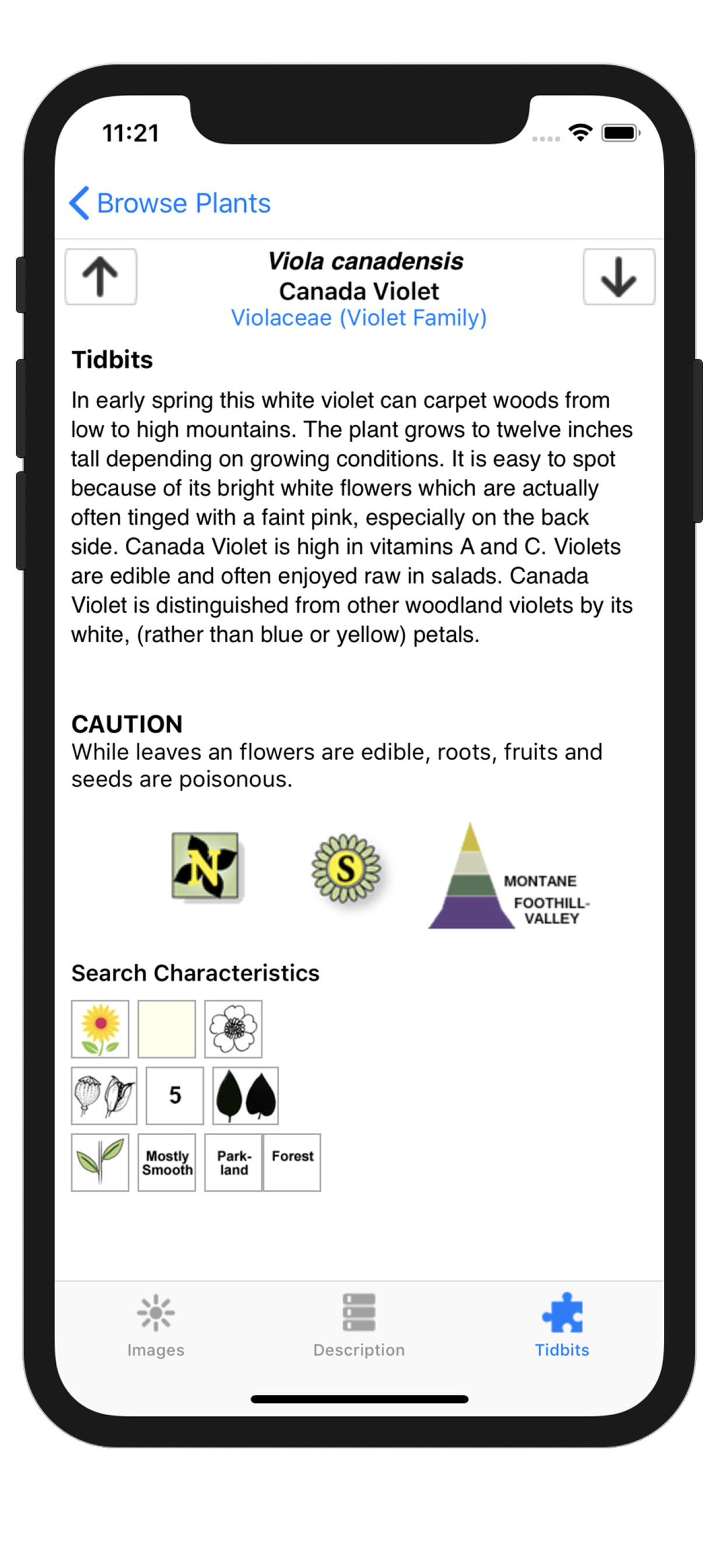 Flora of Yellowstone