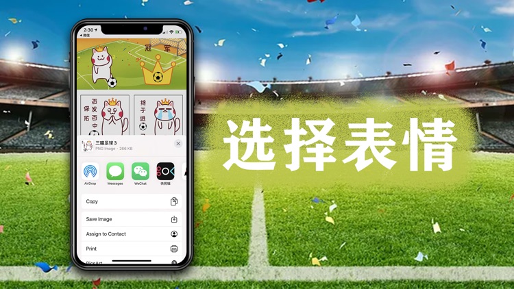 三喵足球