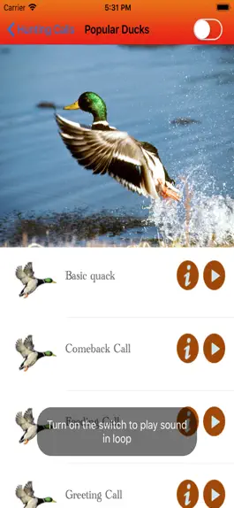 Game screenshot Duck Hunting Calls - mod apk