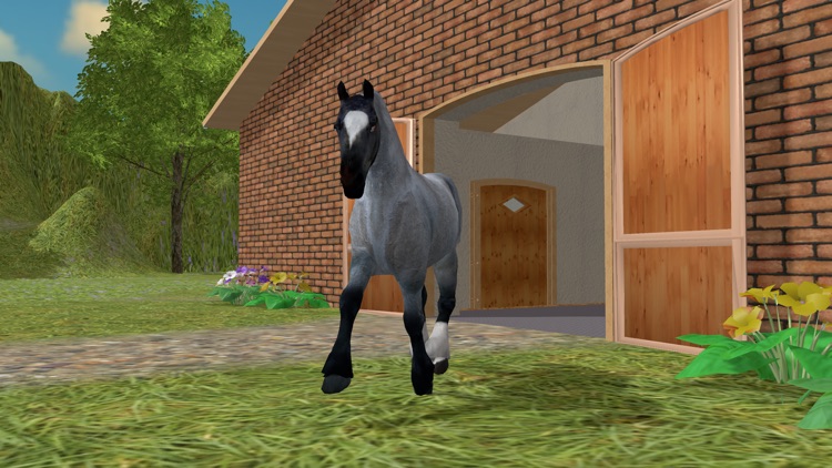 Jumpy Horse Breeding