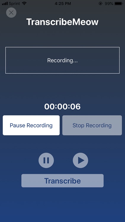 TranscribeMeow screenshot-4