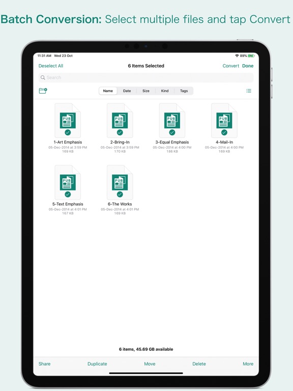PUB Converter iPad screenshot 4 - Productivity app