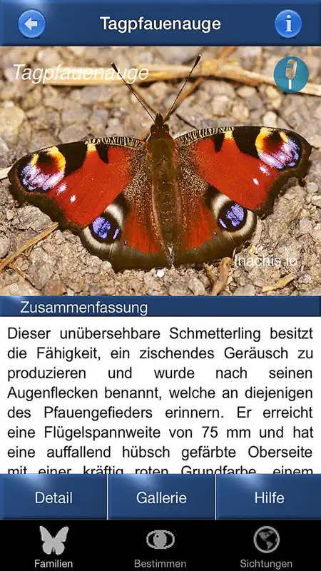 Schmetterling Id - Tagfalter screenshot 5 of 10