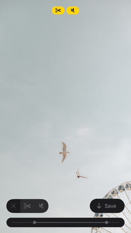 Flaneur screenshot-3