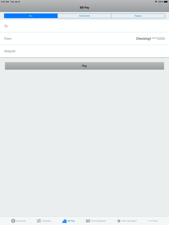 Needham Bank Mobile Banking iPad screenshot 7 - Finance app