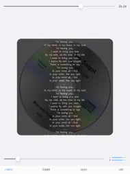 Music Player HD ipad bilder 2