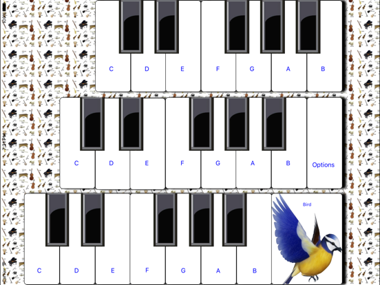 ¼ iMusicInstruments iPad screenshot