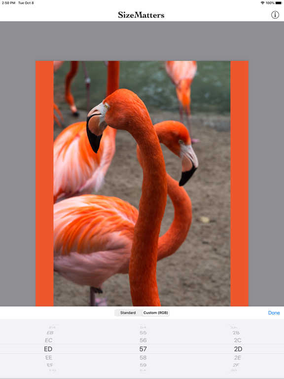 SizeMatters - No Crop Resizing iPad screenshot 4 - Photo & Video app