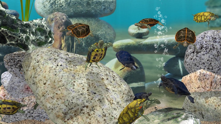 Fish Farm 3 - Aquarium screenshot-3
