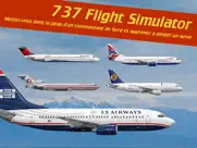 737 flight simulator iPad Captures Décran 1
