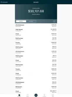 FIS Digital One Consumer iPad image 2