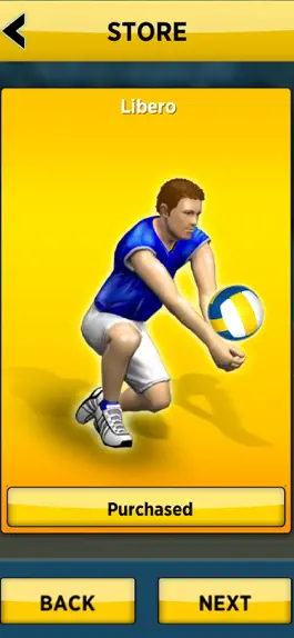 Game screenshot Spike Masters Volleyball apk